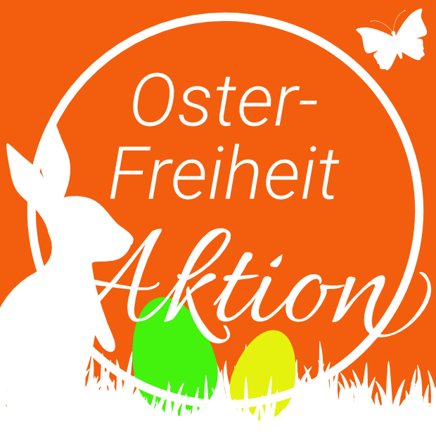 Creative Screen, Internetagentur